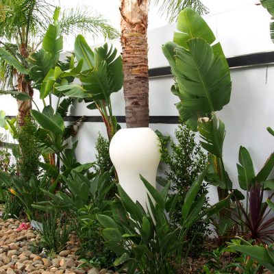 Modern Gardens