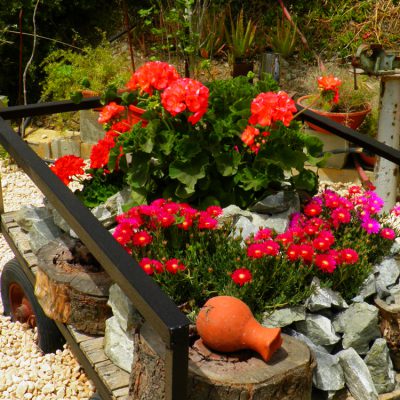 Traditional Gardens
