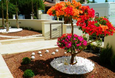 Garden Construction